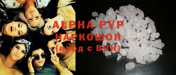 стаф Краснослободск